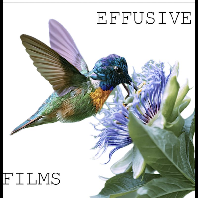 Effusive Films LLC