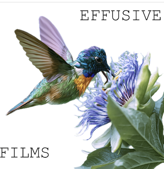 Effusive Films LLC